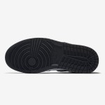 Air Jordan 1 Panda Retro High OG WMNS Black/White Air Jordan 1 Panda Retro High OG WMNS Black/White High-Top Sneakers