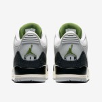エア ジョーダン 3 Tinker Chlorophyll スニーカー 限定版 エア ジョーダン 3 Tinker Chlorophyll スニーカー 136064-006
