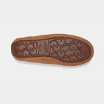 UGG レディース ダコタ スリッパ チェスナット 5612 UGG レディース ダコタ スリッパ チェスナット 5612 - モカシン