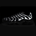 Nike Air Max Plus HQ3029-001 Black Reflective Metallic Silver TN sneakers with reflective streetwear styling