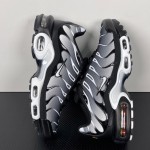 Nike Air Max Plus DM0032-003 Black White Gradient TN sneakers with monochrome streetwear styling