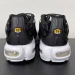 Nike Air Max Plus DM2362-001 Black White Reverse Gradient TN sneakers with monochrome streetwear styling