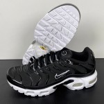 Nike Air Max Plus DM2362-001 Black White Reverse Gradient TN sneakers with monochrome streetwear styling
