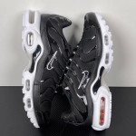 Nike Air Max Plus DM2362-001 Black White Reverse Gradient TN sneakers with monochrome streetwear styling