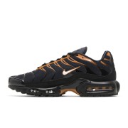 Nike Air Max Plus FN6949-400 Dark Obsidian Monarch TN Sneakers – Midnight Ember Streetwear Shoes for Men